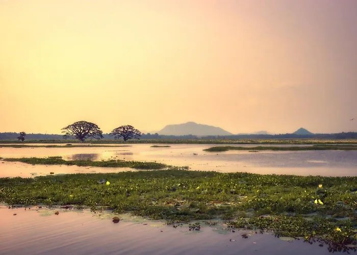 Water Bird\'S Resort & Yala Safari