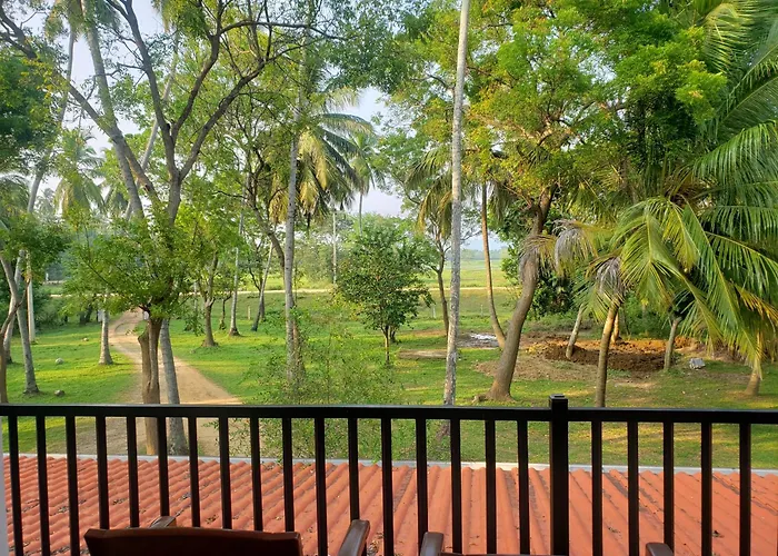 Water Bird\'S Resort & Yala Safari