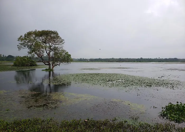 Water Bird\'S Resort & Yala Safari