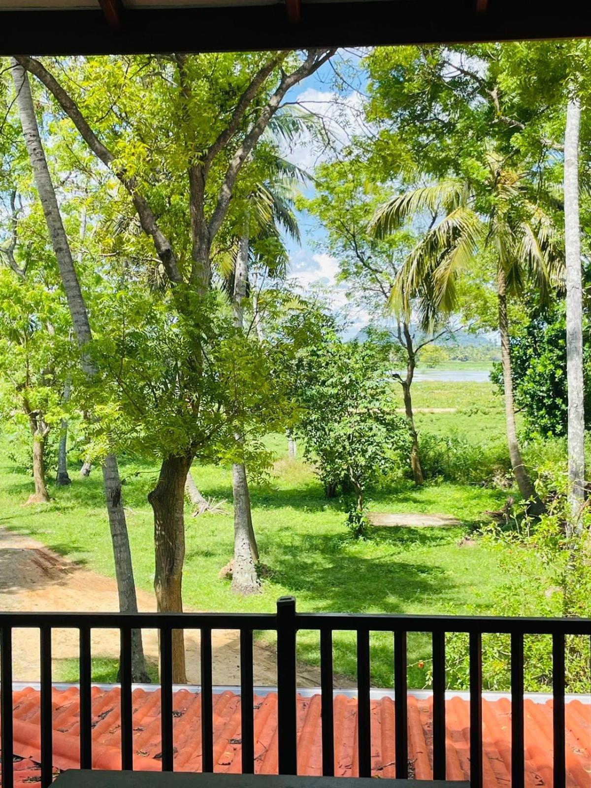Water Bird's & Yala Safari Homestay *
