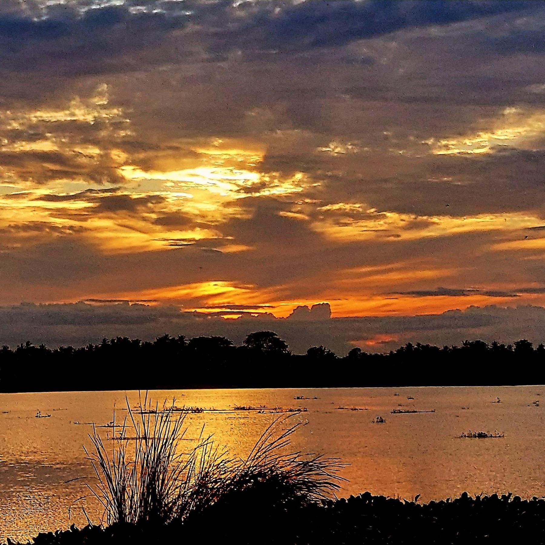 Water Bird's & Yala Safari