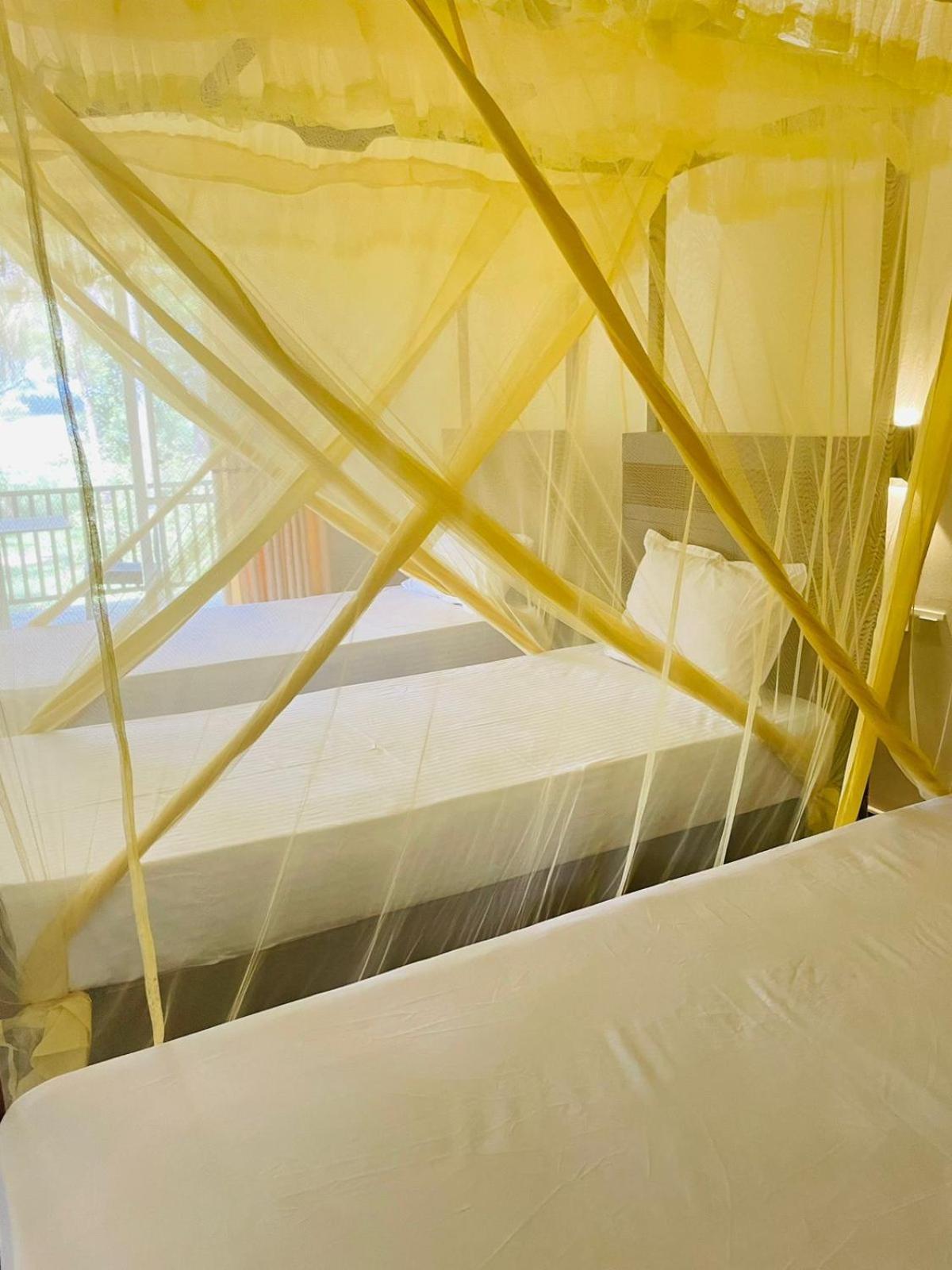Water Bird's & Yala Safari Homestay Tissamaharama