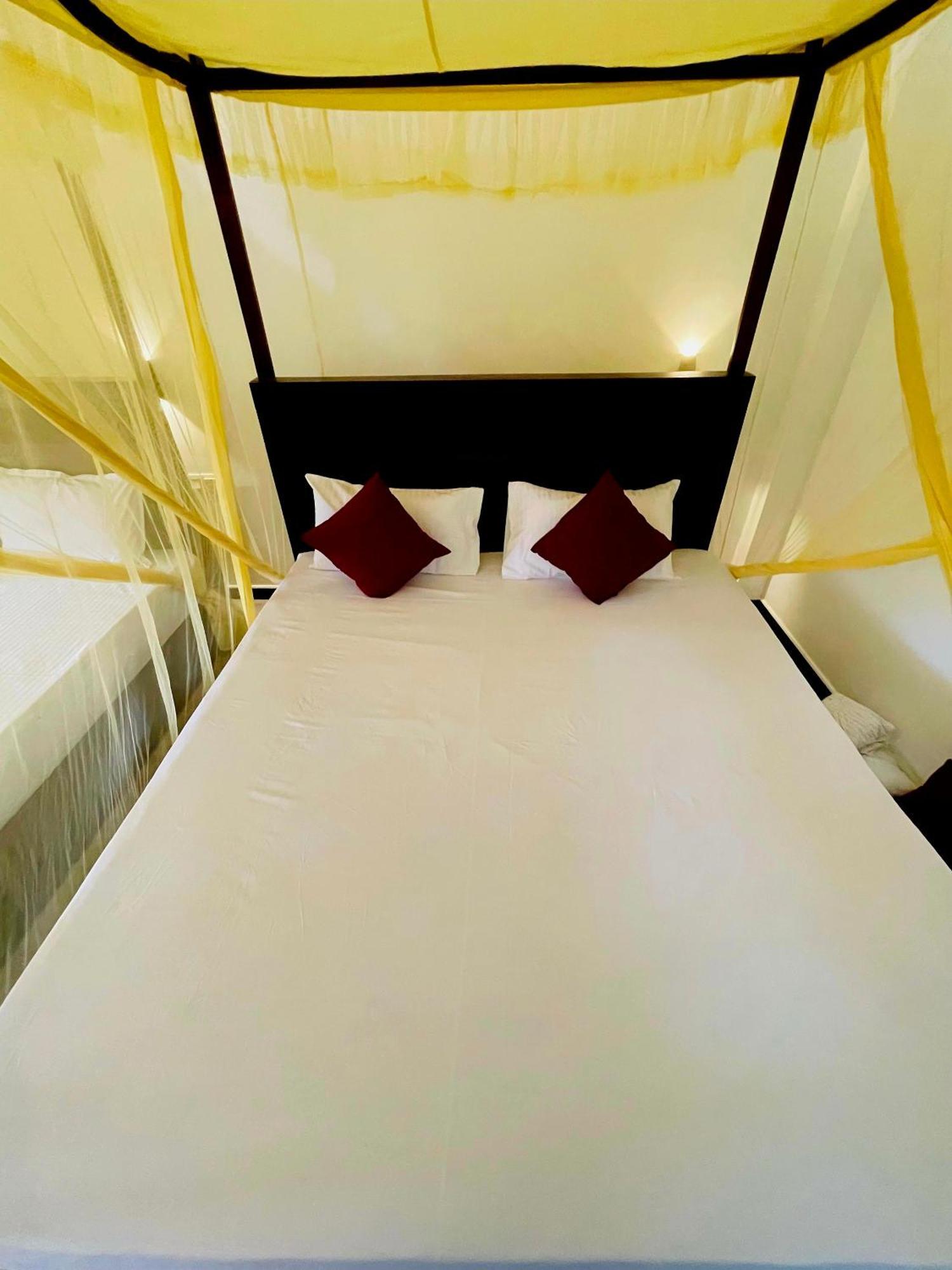 Water Bird's & Yala Safari Homestay Tissamaharama