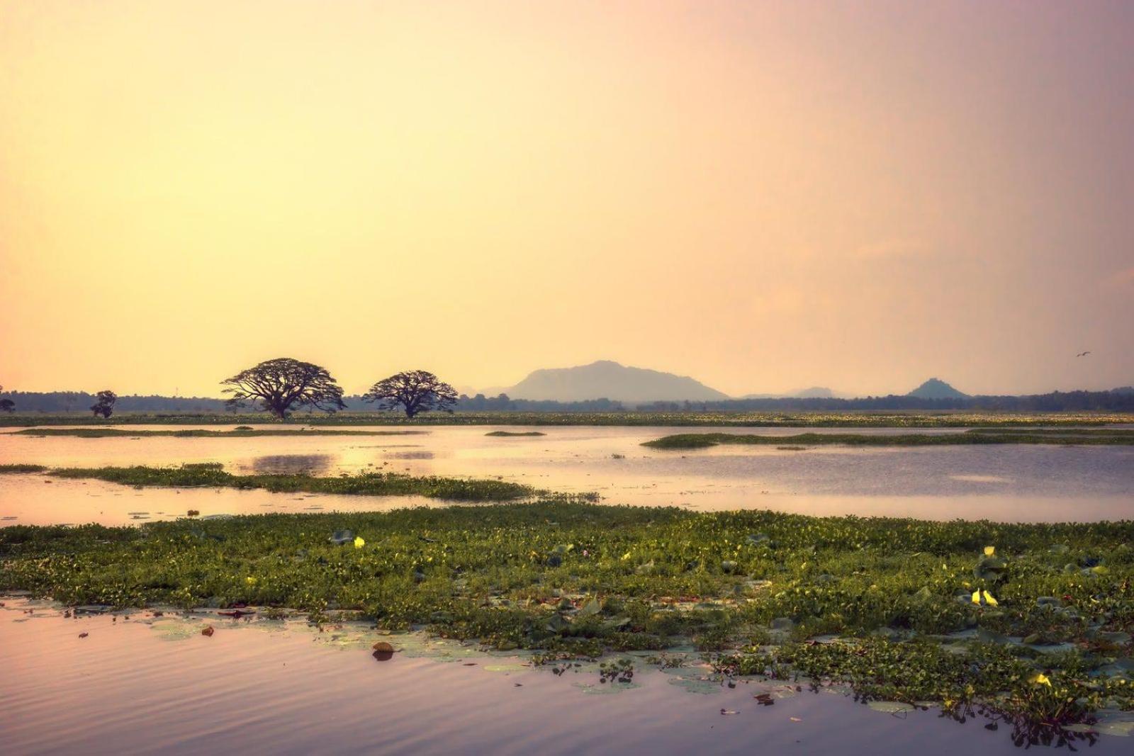 Homestay Water Bird's & Yala Safari