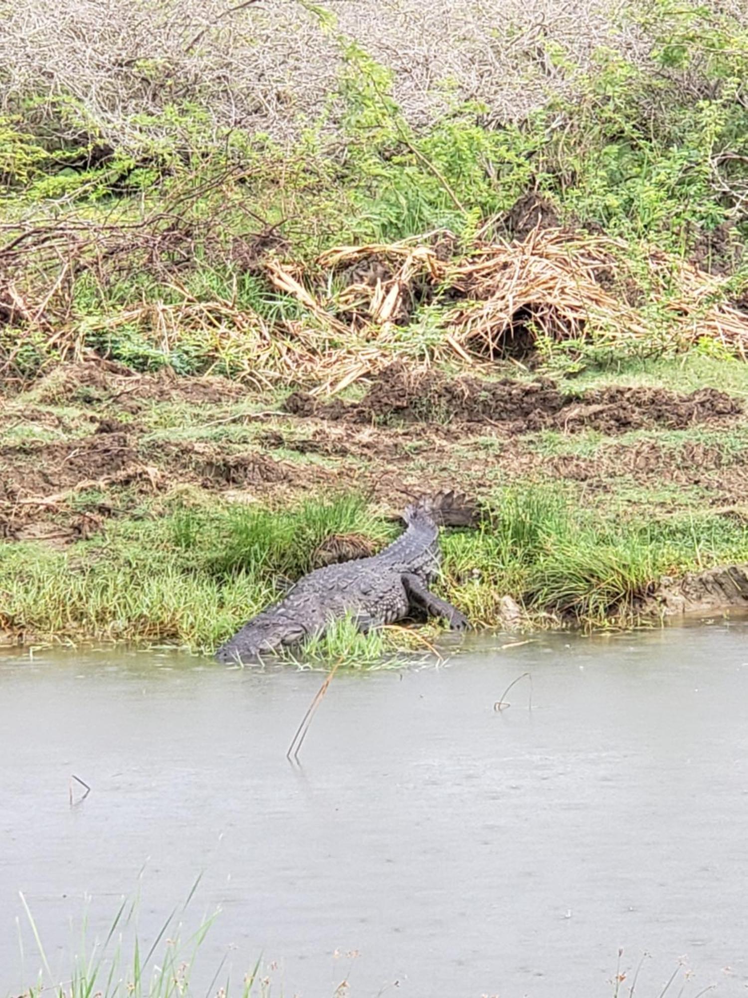 Water Bird's & Yala Safari Homestay